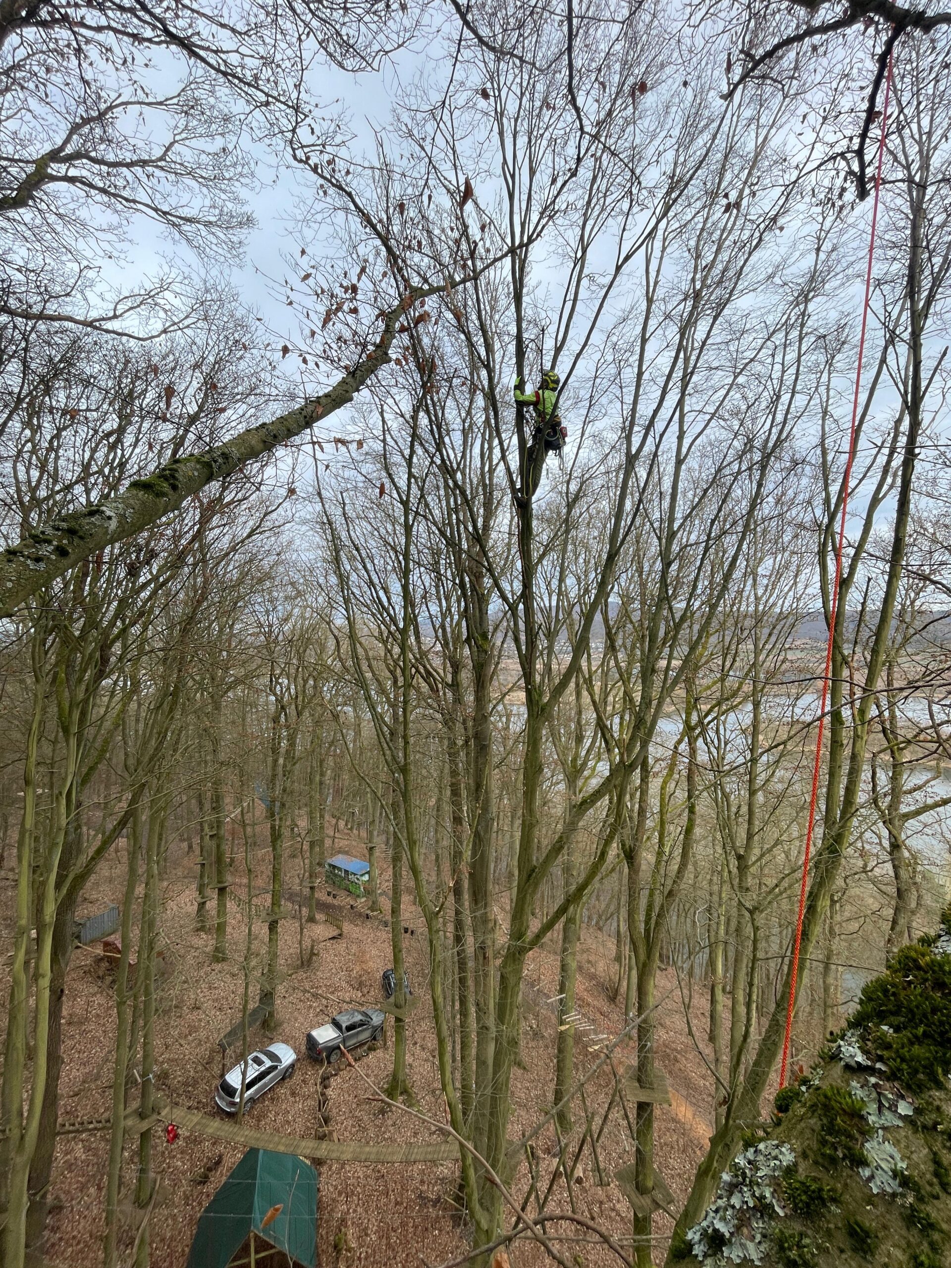 Pflegeschnitt